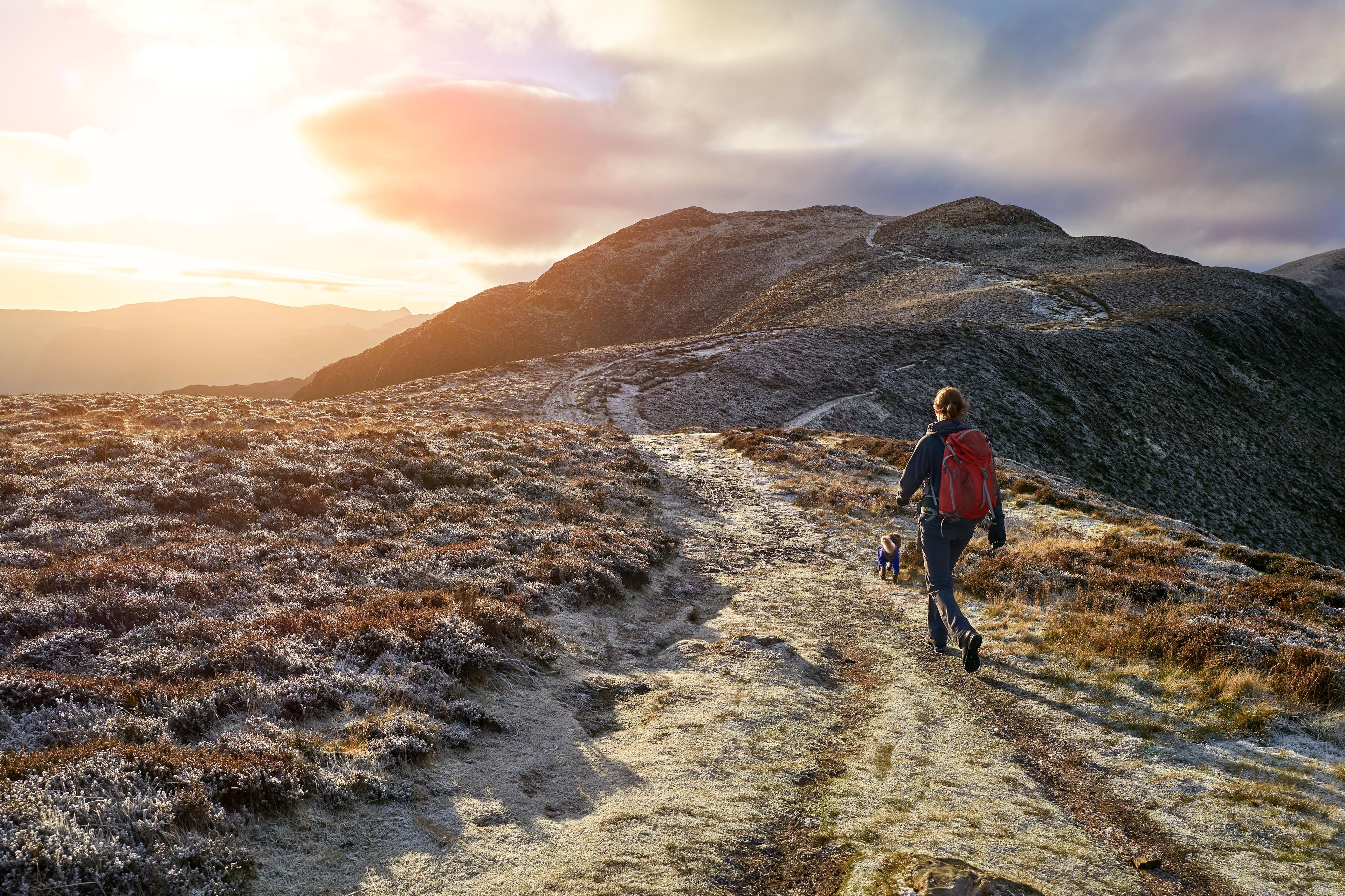 A hiker and their dog walking on the Derwent Fells